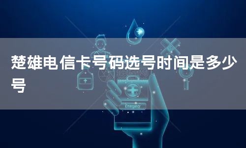 楚雄电信卡号码选号时间是多少号