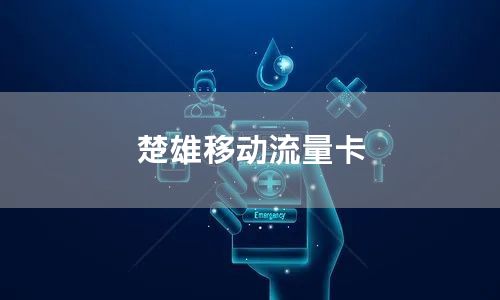 楚雄移动流量卡