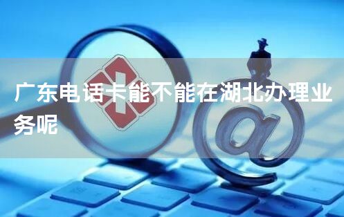 广东电话卡能不能在湖北办理业务呢