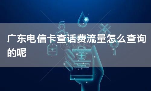 广东电信卡查话费流量怎么查询的呢