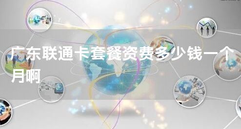 广东联通卡套餐资费多少钱一个月啊
