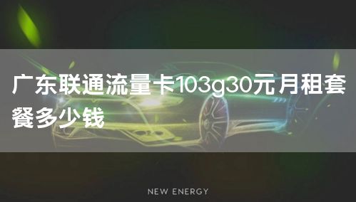 广东联通流量卡103g30元月租套餐多少钱
