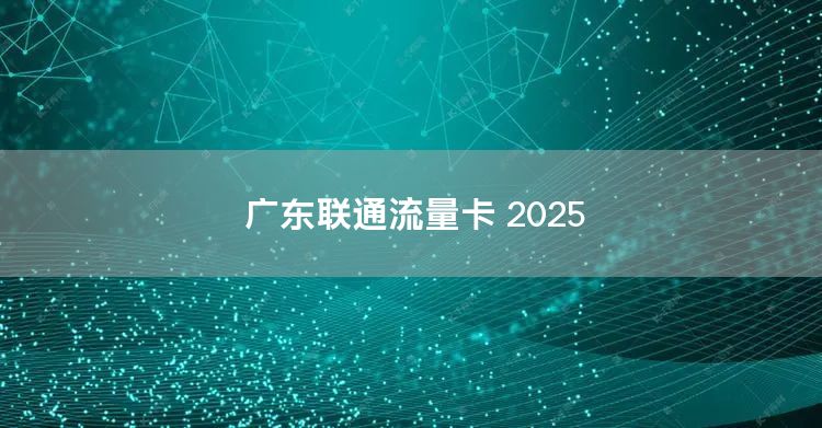 广东联通流量卡 2025