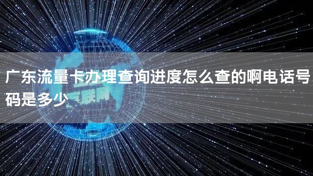 广东流量卡办理查询进度怎么查的啊电话号码是多少