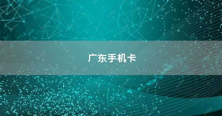 广东手机卡
