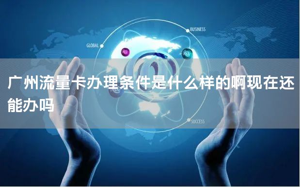 广州流量卡办理条件是什么样的啊现在还能办吗