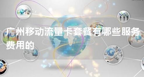 广州移动流量卡套餐有哪些服务费用的