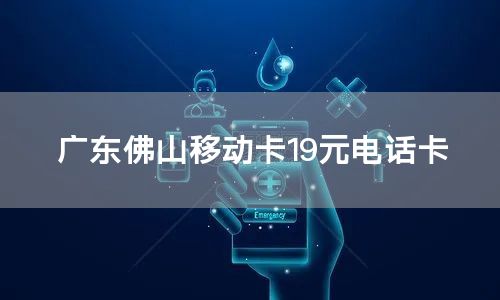 广东佛山移动卡19元电话卡