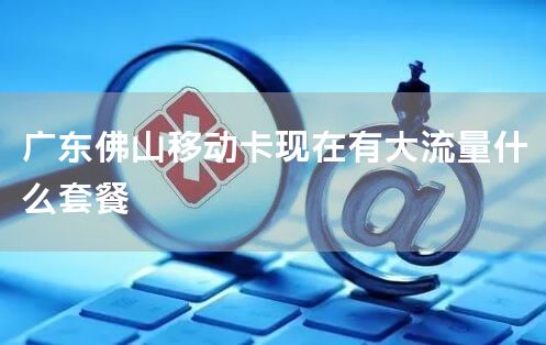 广东佛山移动卡现在有大流量什么套餐